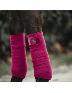 KENTUCKY HORSEWEAR - BANDES...