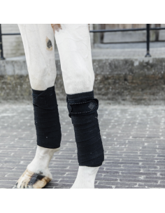 KENTUCKY HORSEWEAR - BANDES...