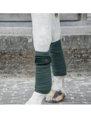 KENTUCKY HORSEWEAR - BANDES DE POLO VELVET PEARLS - SET DE 4