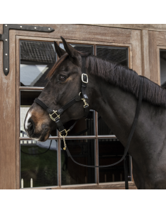 KENTUCKY HORSEWEAR - LICOL...
