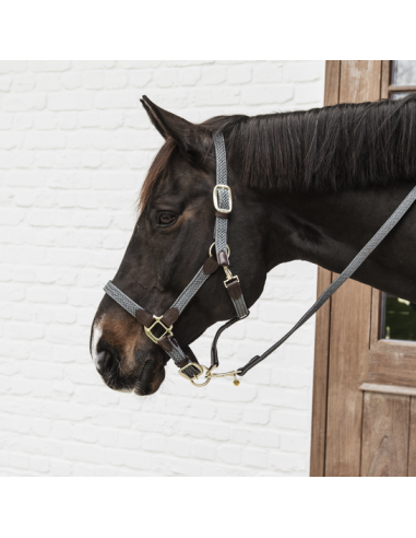 KENTUCKY HORSEWEAR - LICOL EN NYLON TRESSÉ