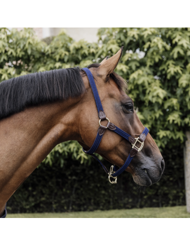KENTUCKY HORSEWEAR - LICOL EN NYLON TRESSÉ