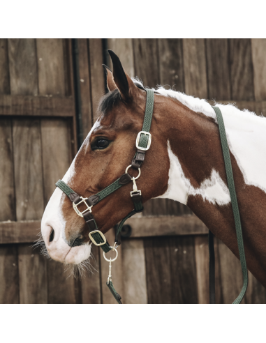 KENTUCKY HORSEWEAR - LICOL EN NYLON TRESSÉ