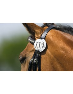 PORTE-NUMÉROS DE TÉTIÈRE
