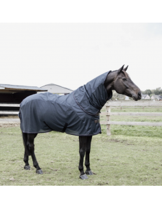KENTUCKY HORSEWEAR -...