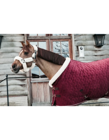 KENTUCKY HORSEWEAR - COUVERTURE SHOW RUG VELVET - 160GR