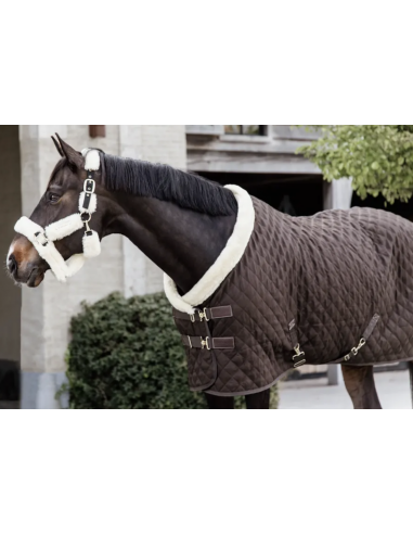 KENTUCKY HORSEWEAR - COUVERTURE D'ÉCURIE - 160GR