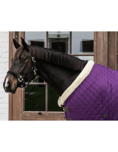 KENTUCKY HORSEWEAR -...