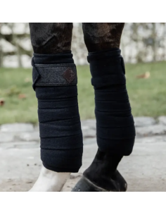 KENTUCKY HORSEWEAR - BANDE...
