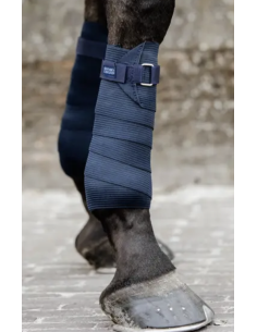 KENTUCKY HORSEWEAR - BANDE...