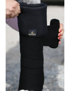KENTUCKY HORSEWEAR - BANDE...