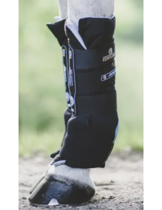 KENTUCKY HORSEWEAR -...