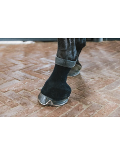 KENTUCKY HORSEWEAR -...