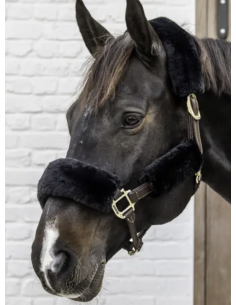 KENTUCKY HORSEWEAR -...