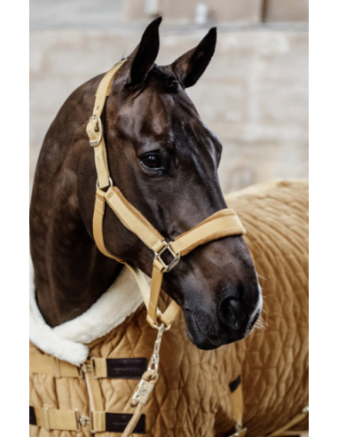 KENTUCKY HORSEWEAR - LICOL VELVET