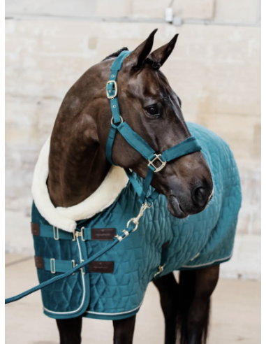 KENTUCKY HORSEWEAR - LICOL VELVET
