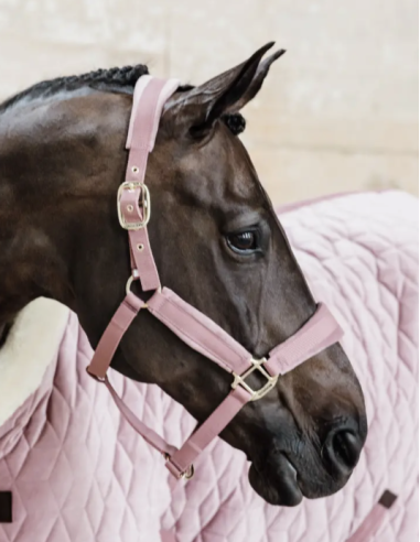 KENTUCKY HORSEWEAR - LICOL VELVET