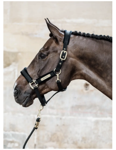 KENTUCKY HORSEWEAR - LICOL VELVET