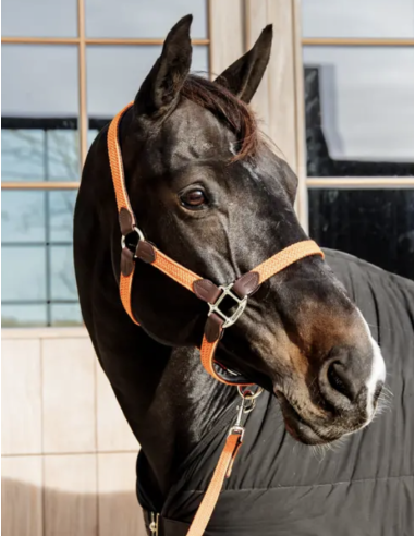 KENTUCKY HORSEWEAR - LICOL EN NYLON TRESSÉ