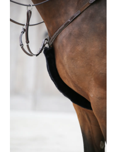 KENTUCKY HORSEWEAR -...