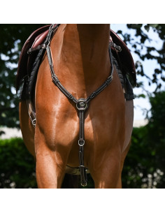 JUMPIN - COLLIER DE CHASSE...
