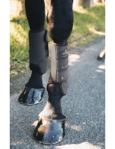 KENTUCKY HORSEWEAR -...
