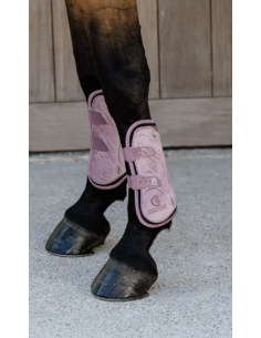 KENTUCKY HORSEWEAR -...