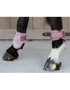 KENTUCKY HORSEWEAR -...