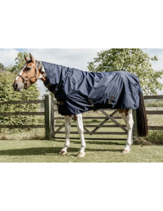 KENTUCKY HORSEWEAR -...