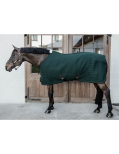 KENTUCKY HORSEWEAR -...