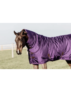 KENTUCKY HORSEWEAR -...