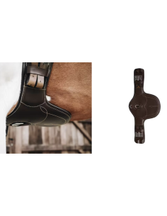 KENTUCKY HORSEWEAR - SANGLE...