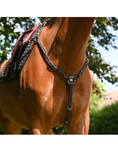 JUMPIN - COLLIER DE CHASSE WEDNESDAY - WEEK COLLECTION