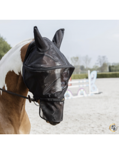 KENTUCKY HORSEWEAR - MASQUE...